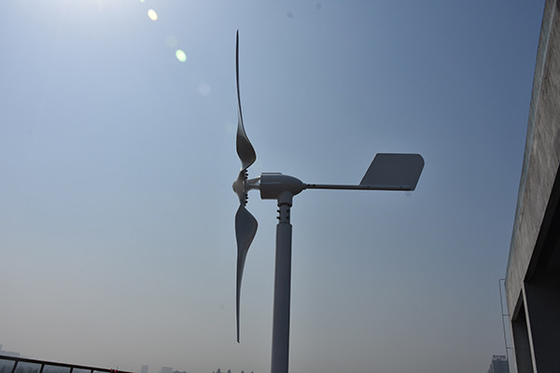 0.8kW क्षैतिज अक्ष लघु पवन टरबाइन 24V 48Volt 1000W क्षैतिज पवन ऊर्जा संयंत्र