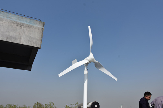 ऑफ ग्रिड सिस्टम के लिए नायलॉन ब्लेड क्षैतिज ब्लेड विंड टर्बाइन 24V 48V 800W